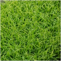 금산묘지관리 PC 갤러리 7